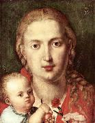 Albrecht Durer The Madonna of the Carnation oil
